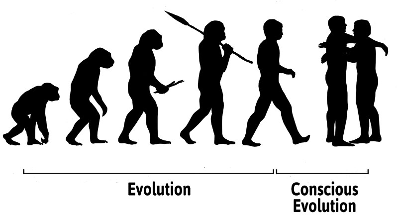 evoChart