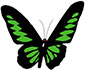 S.O.U.L. Documentary Logo